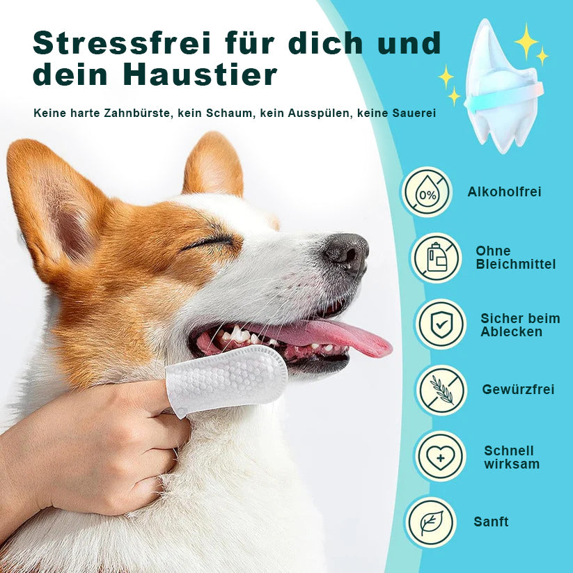Haustiere Zahnpflege Finger-Pads